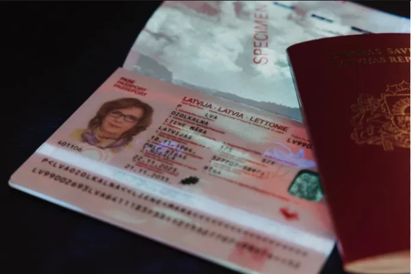 Изображение к статье: Фото: PMLP