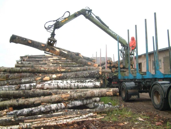 Изображение к статье: C какого краю отрасли не отраслИ?