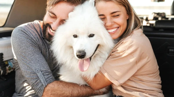 Изображение к статье: Любят ли собаки обниматься