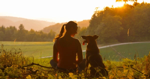Изображение к статье: Психологи предложили третий путь к хорошей жизни: это не счастье и не смысл