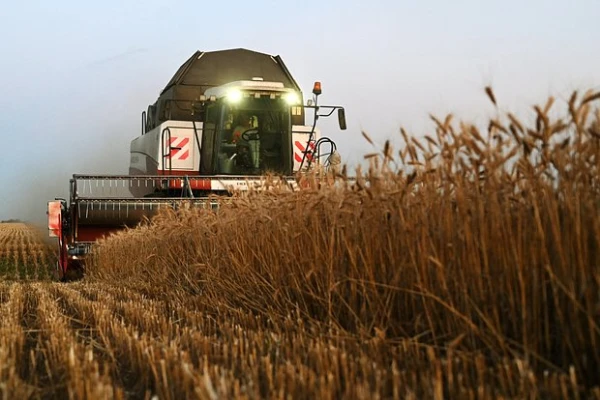 Изображение к статье: Удар по бюджету РФ: рухнул объем продаж российского зерна