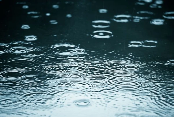 Изображение к статье: Ученые выявили рост концентрации опасного вещества в осадках по всему миру