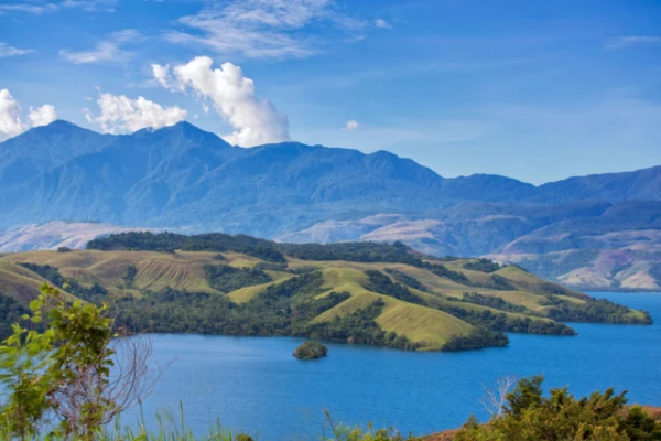 Изображение к статье: В горах Индонезии нашли креветок, живущих на деревьях