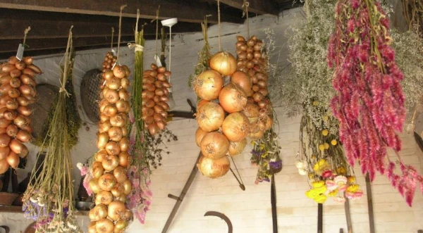 Изображение к статье: На всю зиму: как правильно заготовить чеснок и лук для хранения