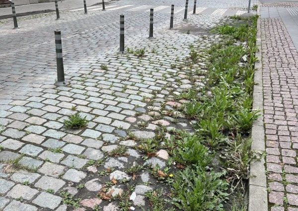 Изображение к статье: Столбики Стакиса живут и побеждают! Открылся гениальный замысел бывшего градоначальника