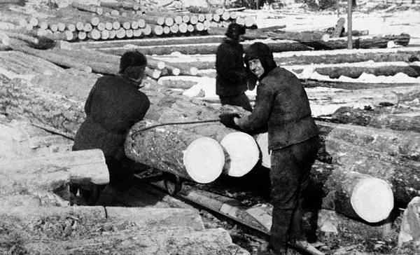 Изображение к статье: Секретный доклад об увеличении доходов: рубим леса, забираем дивиденды, устраиваем лотерею