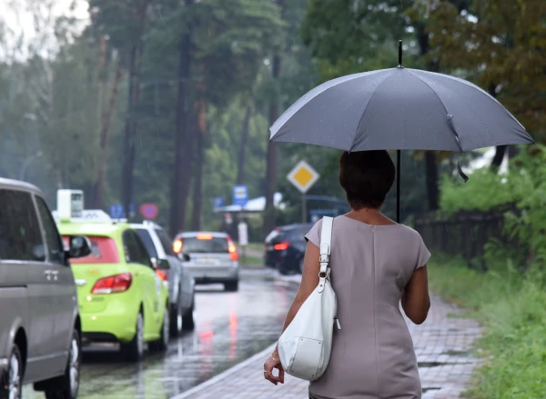 Изображение к статье: В среду местами ожидаются сильный дождь и грозы, возможна буря