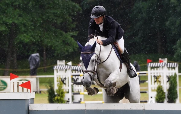 Изображение к статье: Государство берёт под контроль «Клейсты», чтобы защитить лошадей и возродить конный спорт