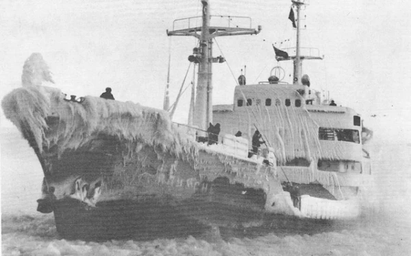 Изображение к статье: История капитана Губина: петух — в Северном Ледовитом океане