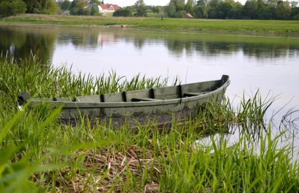 Изображение к статье: Проблема: в Латвии зарастают озера