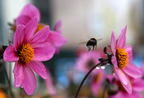 Изображение к статье: Не спи с открытым окном: ночью в ряде районов пройдёт дождь