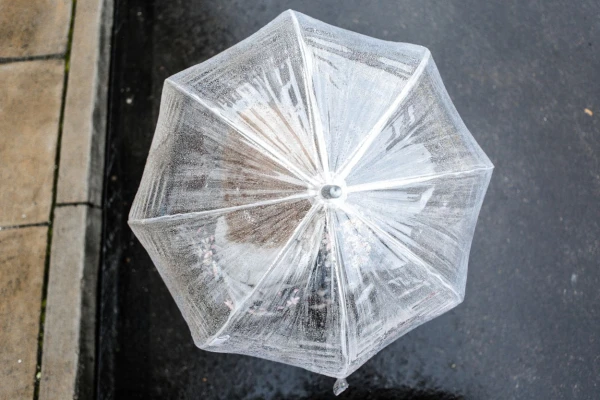 Изображение к статье: Прогноз на понедельник: почему никто уже не удивляется?