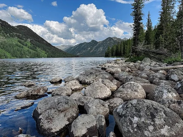 Изображение к статье: Какая девственная природа.