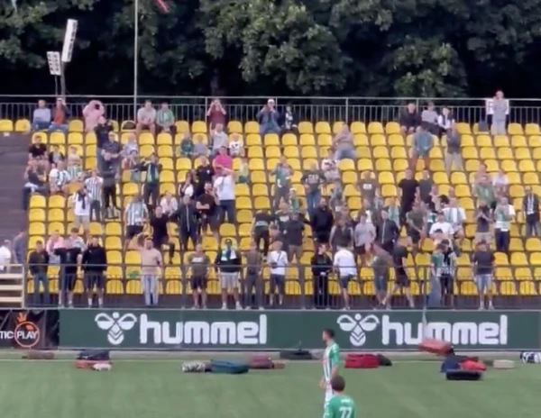 Необычный протест: в Вильнюсе фанаты «Жальгириса» закидали тренера чемоданами