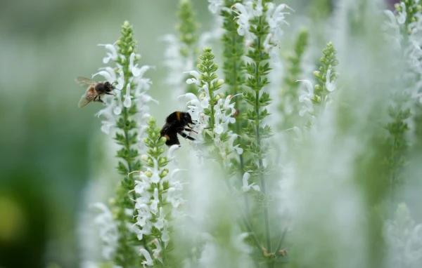 Изображение к статье: Готовьте солнцезащитный крем и зонт: прогноз на выходные