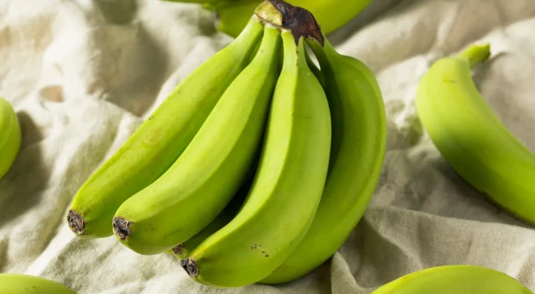 Изображение к статье: Зеленые бананы могут защищать от рака