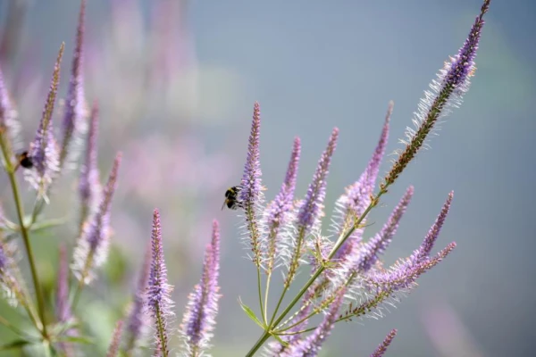 Изображение к статье: В четверг воздух прогреется до +23 градусов
