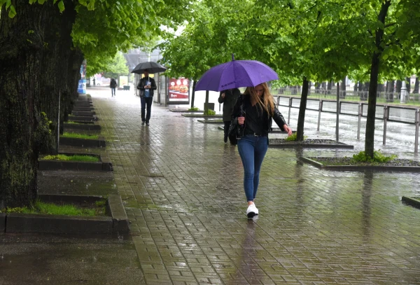 Изображение к статье: В пятницу во многих местах пройдут дожди, местами — сильные и с грозами