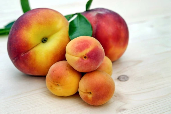 Изображение к статье: В чем разница между абрикосом, персиком и нектарином: какой из фруктов полезнее?