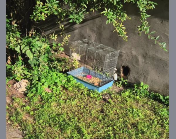 Изображение к статье: Facebook