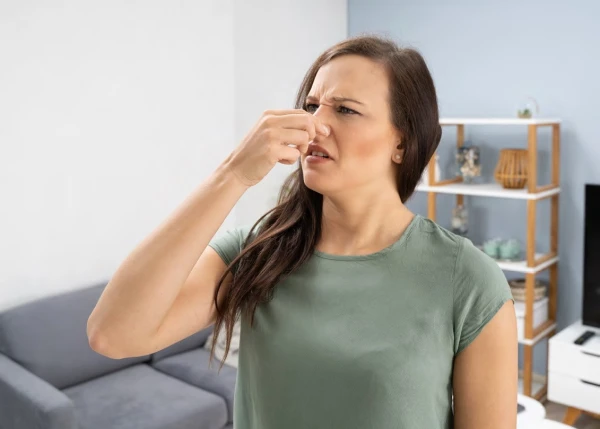 Изображение к статье: Как устранить неприятный запах в квартире народными средствами