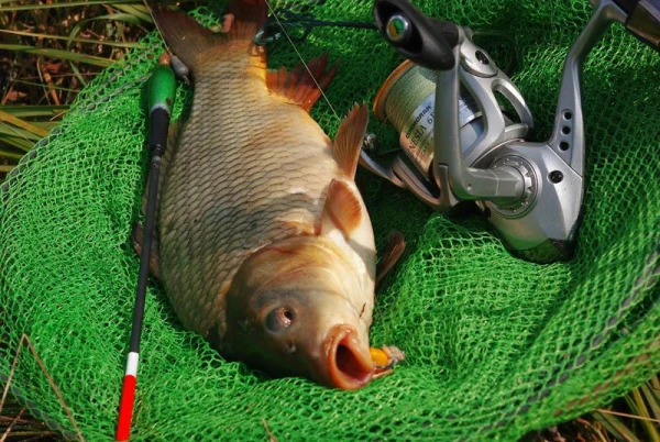 Изображение к статье: Вторая половина августа в Латвии будет прохладнее нормы