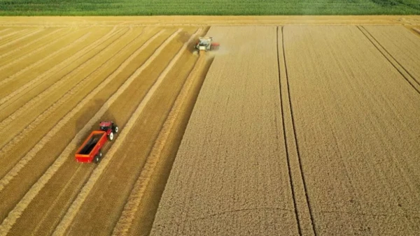 Изображение к статье: Крупное сельскохозяйственное производство невозможно без химии.