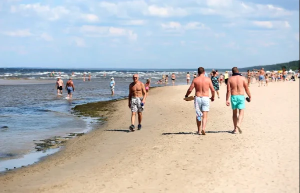 Изображение к статье: Кто тут справляет нужду? Балтийское море захватили водоросли