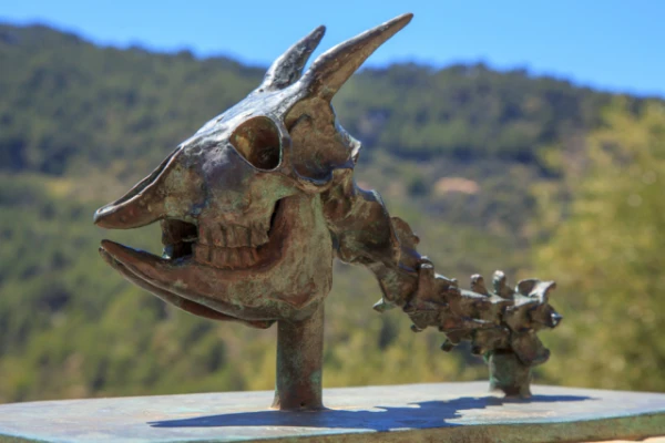 Изображение к статье: Может ли млекопитающее быть холоднокровным? Да!