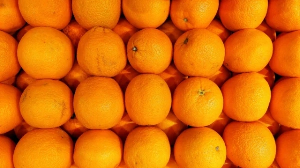 Изображение к статье: Как апельсины влияют на кровяное давление?