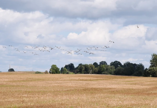 Изображение к статье: В понедельник местами пройдет небольшой дождь