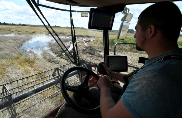 Изображение к статье: Катастрофа на полях: дожди грозят фермерам сотнями миллионов убытков