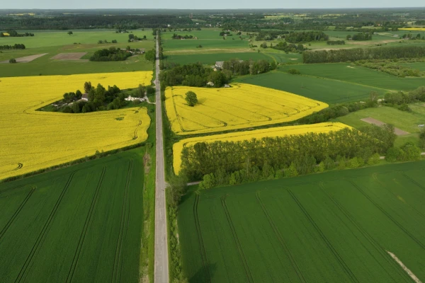 Изображение к статье: В среду погода постепенно начнёт улучшаться