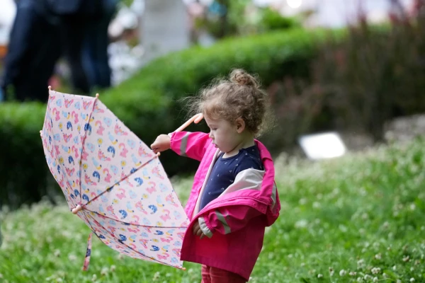 Изображение к статье: Осень напоминает о себе: четверг будет прохладным и облачным