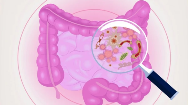 Изображение к статье: Кишечник решает за нас: как бактерии формируют аппетит