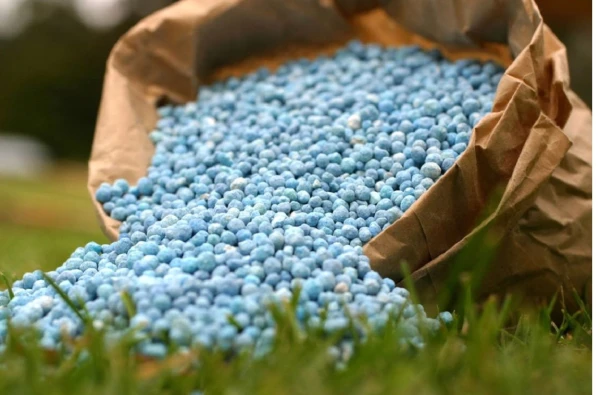 Изображение к статье: Почему в августе нужно отказаться от азотных удобрений?