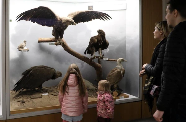 Изображение к статье: Почти половина жителей Латвии за год не посещали музеи и выставки