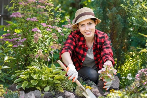 Изображение к статье: Зелёная гвардия. Эти растения отвадят вредителей от вашего огорода