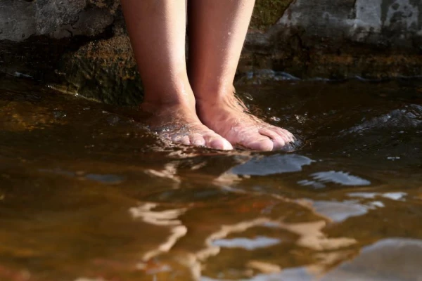 Изображение к статье: Вода в рижских водоемах становится всё холоднее