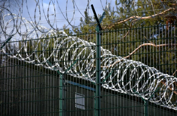 Изображение к статье: За один день — 79 попыток проникновения в Латвию из Беларуси