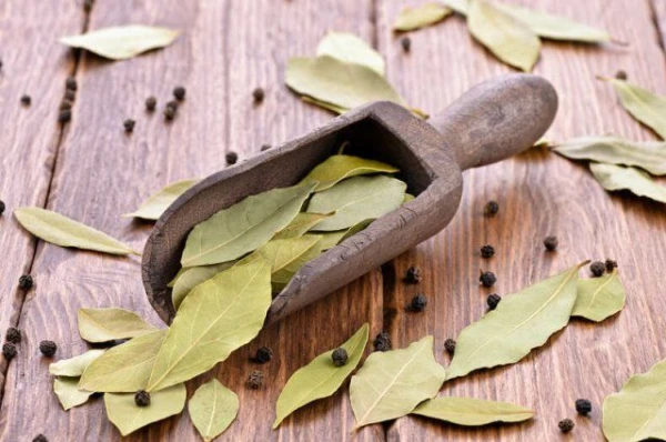 Изображение к статье: Из свежих и соленых овощей. Как готовить маринады?