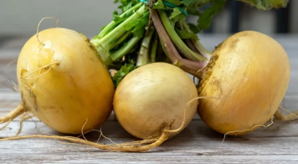 Изображение к статье: Названы 7 полезнейших овощей конца лета