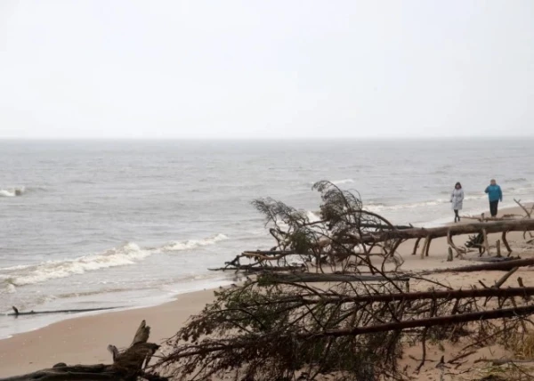 Изображение к статье: Прощай, Юрмала? И дело не в пяти евро за въезд