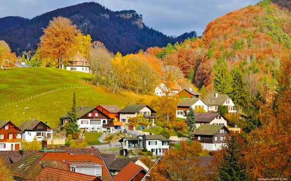 Изображение к статье: В моде сельский отдых: опубликованы главные туристические тренды осени 2025