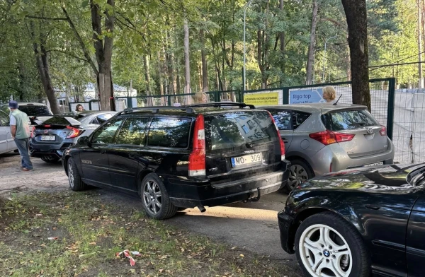 Изображение к статье: facebook.com/lasma.paleja