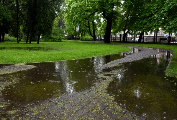 Изображение к статье: Это уже осень? Синоптики рассказали, какой будет погода во вторник