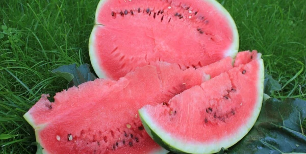 Изображение к статье: Сезон арбузов: советы нутрициолога, как получать максимум пользы