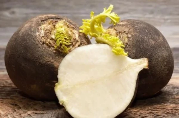 Изображение к статье: Чем может помочь редька?