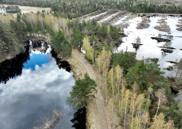 Изображение к статье: Болота — щит восточного фланга НАТО от агрессии Путина. Восстановят ли их?