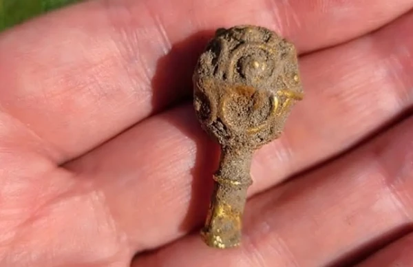 Изображение к статье: Копнул лопатой - и ты богатый.